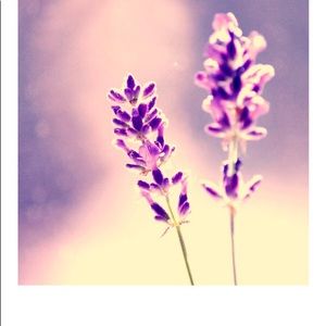 Meet your Posher, Brittbrittany